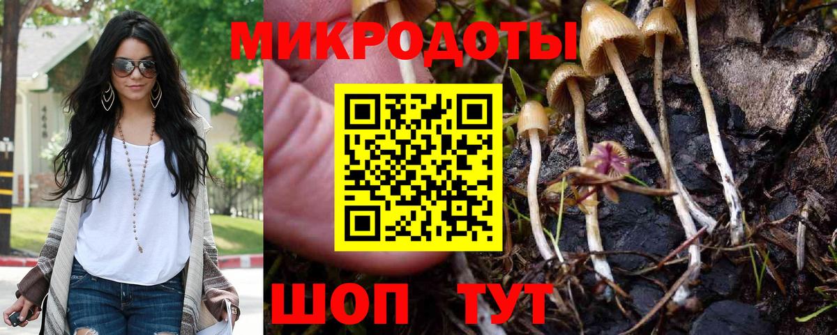 как найти наркотики  Вход с VPN  Иваново  Галлюциногенные грибы GOLDEN TEACHER 