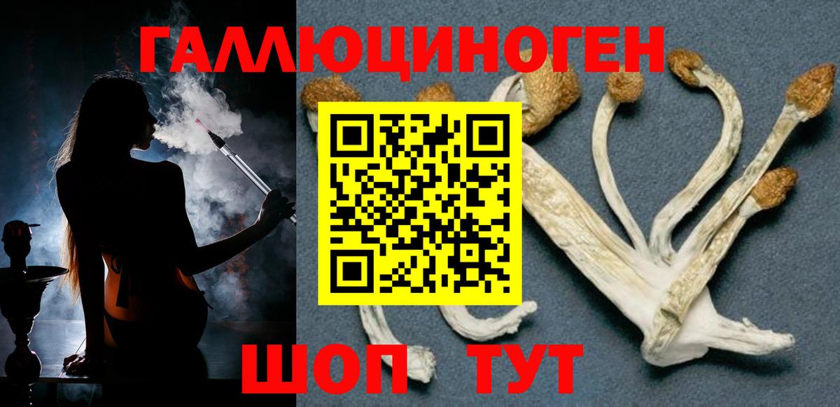 Псилоцибиновые грибы мухоморы Иваново